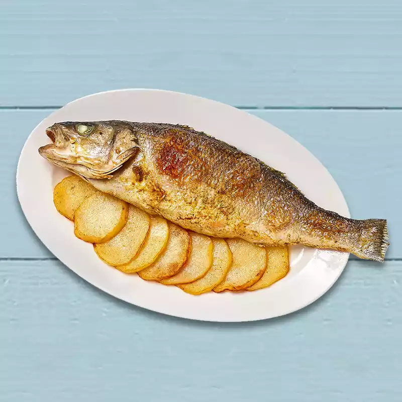 Hamour fish